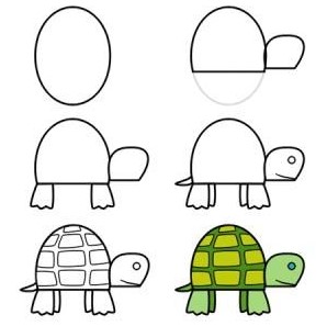 Dibujos de Una tortuga - Idea 6