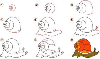 Dibujos de Un caracol para niños