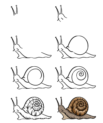 Dibujos de Un caracol realista