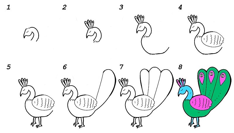 Dibujos de Un Pavo Real - Idea 11