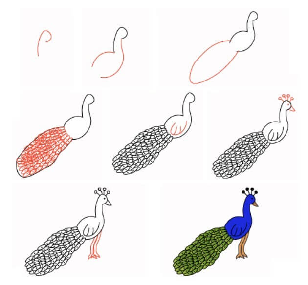 Dibujos de Un Pavo Real - Idea 27