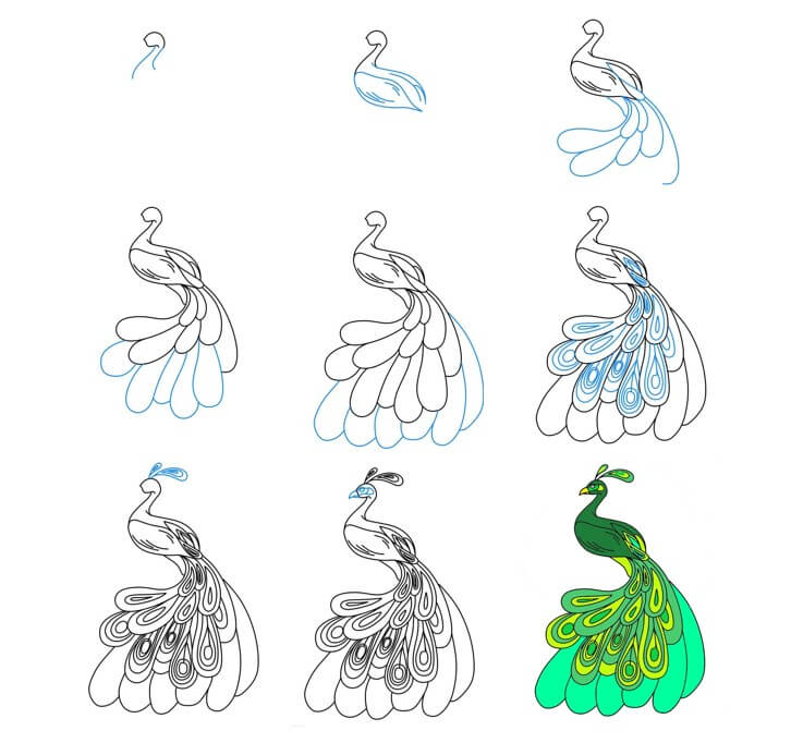 Dibujos de Un Pavo Real - Idea 38