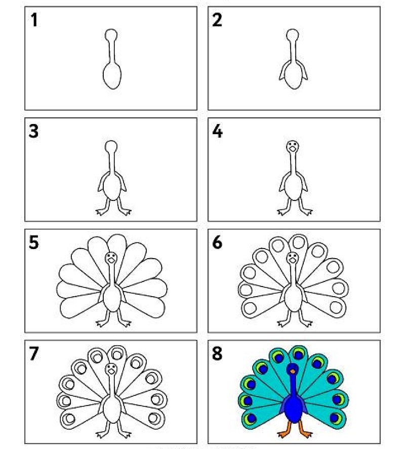 Dibujos de Un Pavo Real para niños