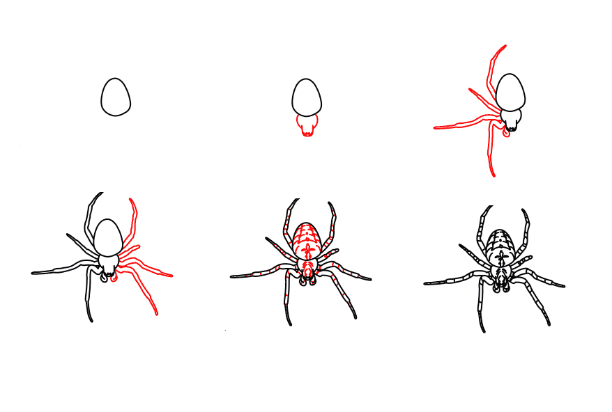 Dibujos de Una araña cangrejo