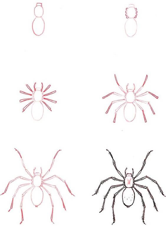 Dibujos de Una araña - Idea 16