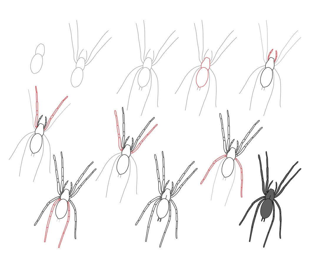 Dibujos de Una araña - Idea 18