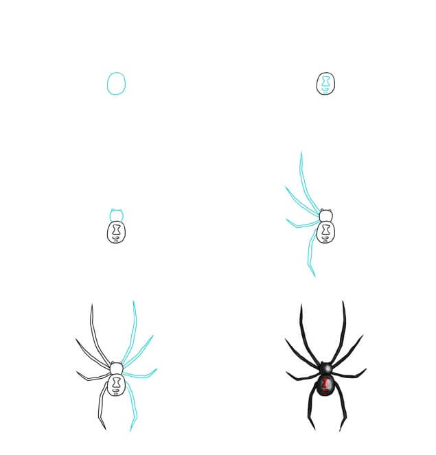 Dibujos de Una araña - Idea 22