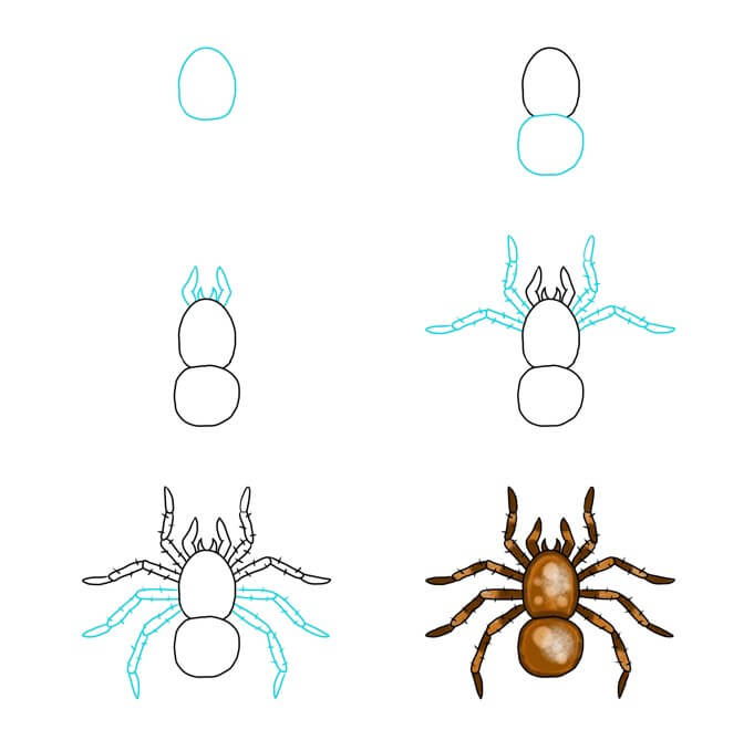 Dibujos de Una araña - Idea 26