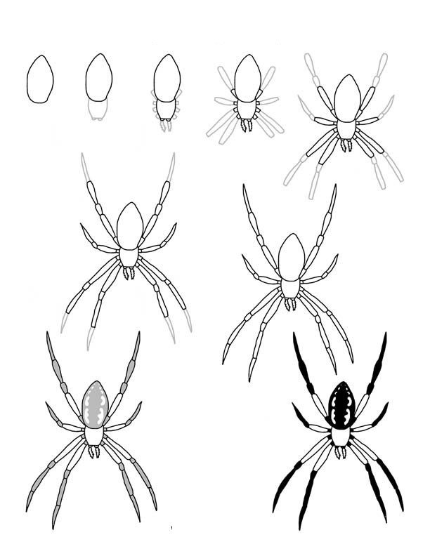 Dibujos de Una araña - Idea 5