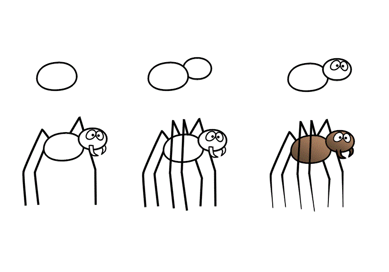 Dibujos de Una araña sencilla