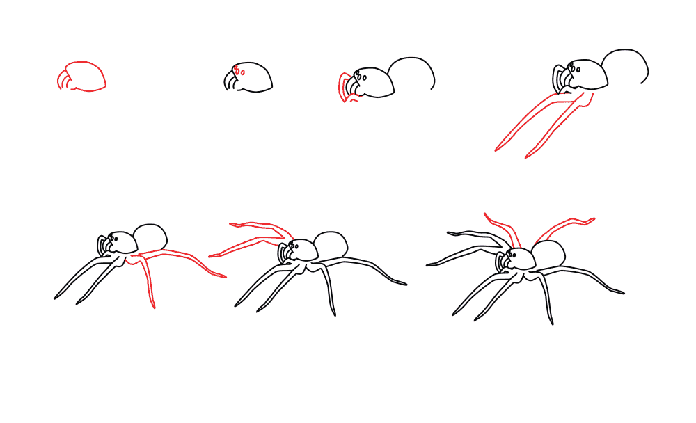 Dibujos de Una araña simple para niños