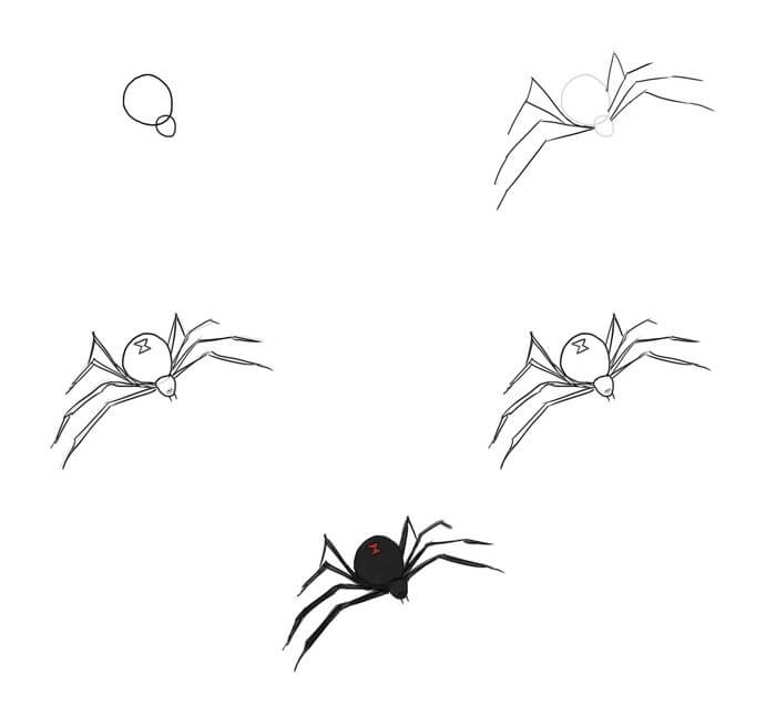 Dibujos de Una araña viuda negra