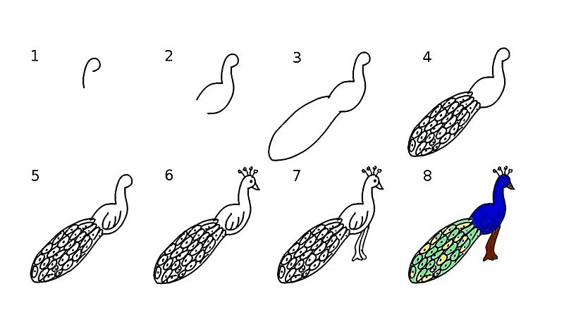 Dibujos de Un Pavo Real - Idea 12