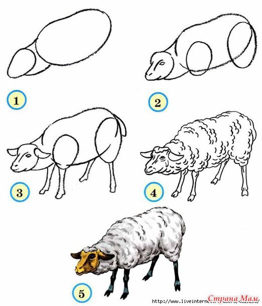 Dibujos de Una oveja realista - Idea 60