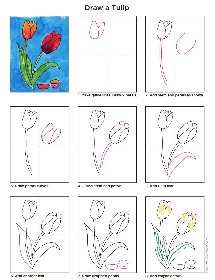 Dibujos de Tulipán pintado