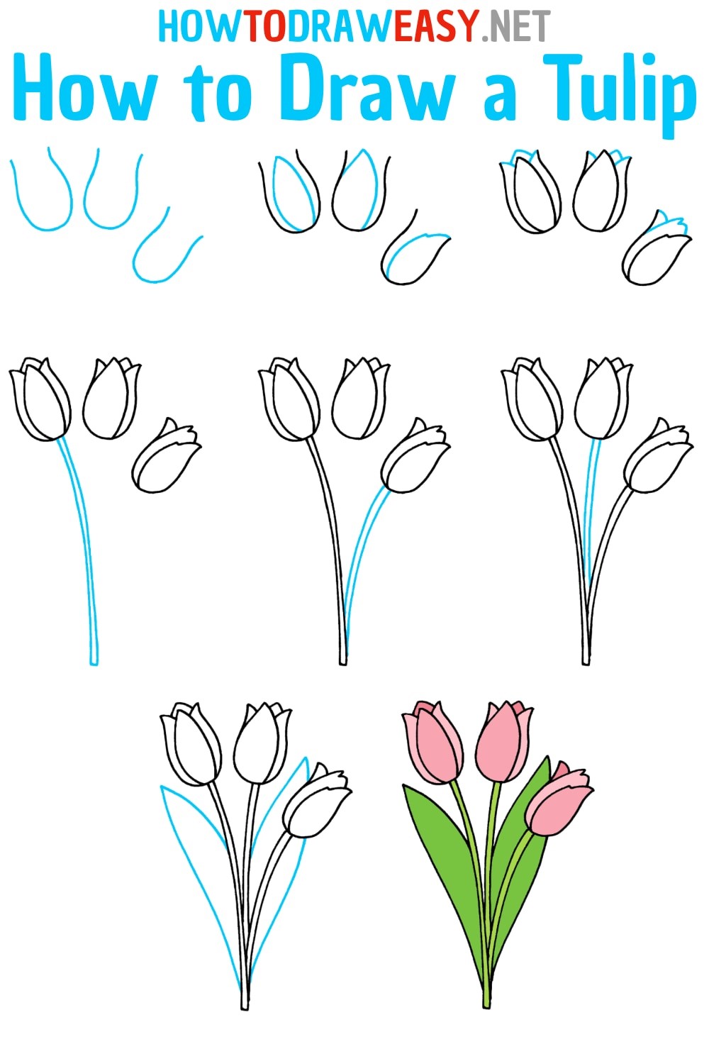 Dibujos de Tulipanes