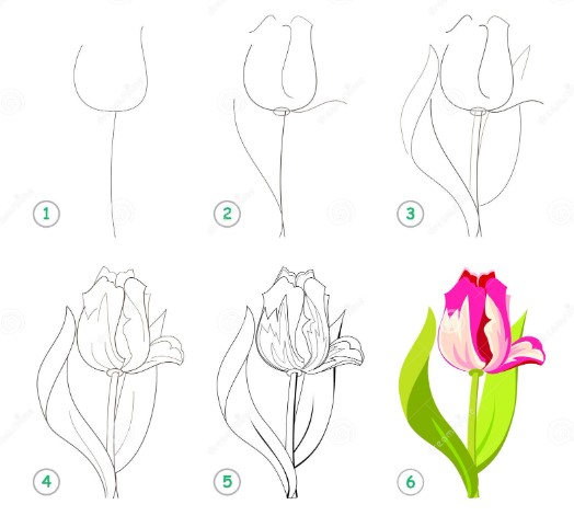 Dibujos de Un tulipán bonito