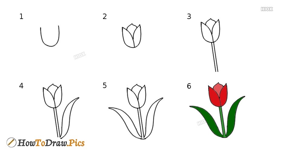 Dibujos de Un tulipán – Idea 6
