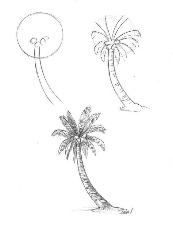 Dibujos de Una palmera a lápiz - Idea 17