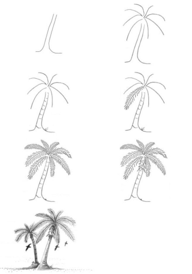 Dibujos de Una palmera a lápiz