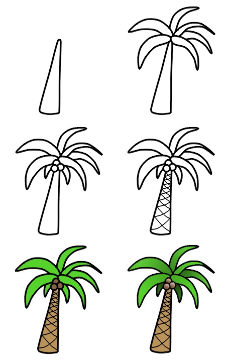 Dibujos de Una palmera de coco