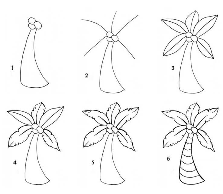 Dibujos de Una palmera - Idea 22