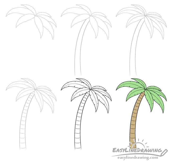 Dibujos de Una palmera para niños