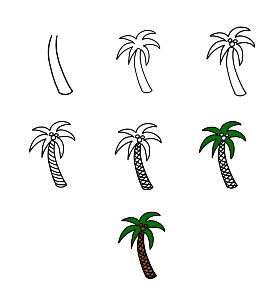 Dibujos de Una palmera sencilla