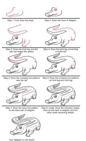 Dibujos de Alligator Ideas 12
