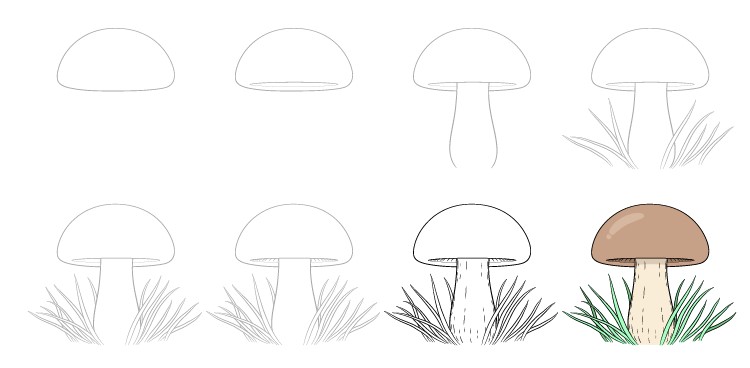 Dibujos de Un hongo a lápiz