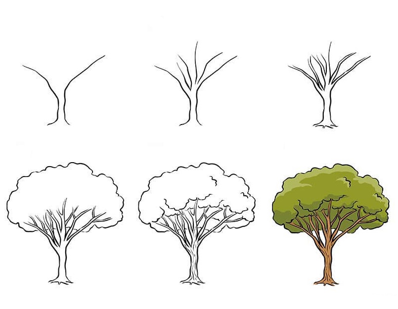 Dibujos de Un árbol - Idea 13