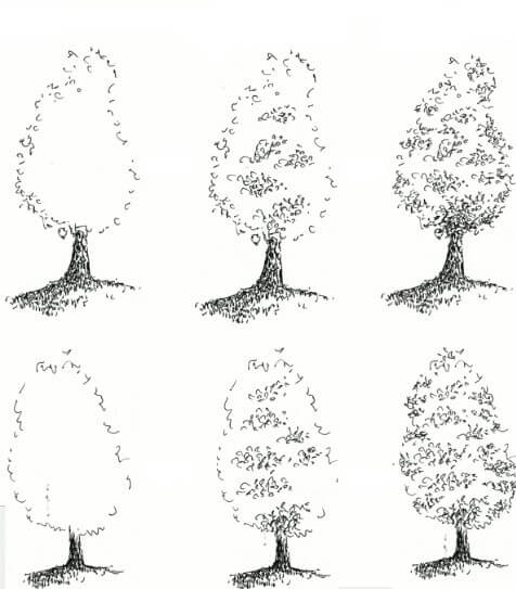 Dibujos de Un árbol - Idea 16