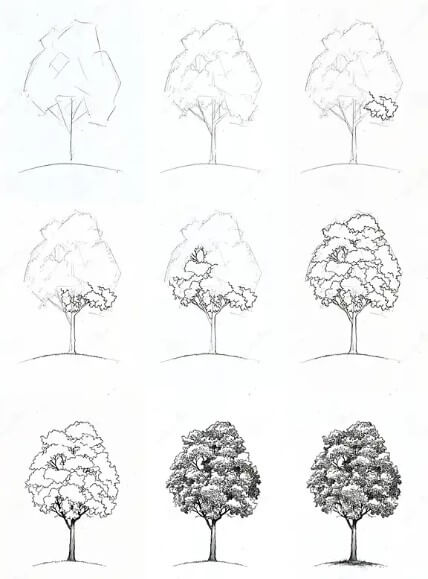 Dibujos de Un árbol - Idea 26