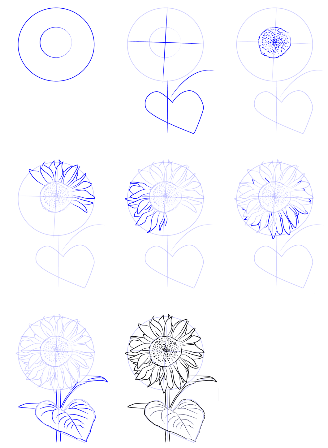 Dibujos de Un boceto de girasol