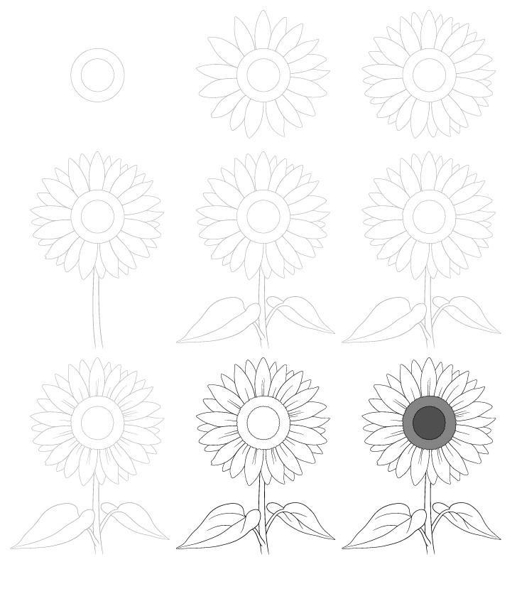 Dibujos de Un girasol a lápiz