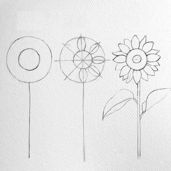 Dibujos de Un girasol fácil y a lápiz