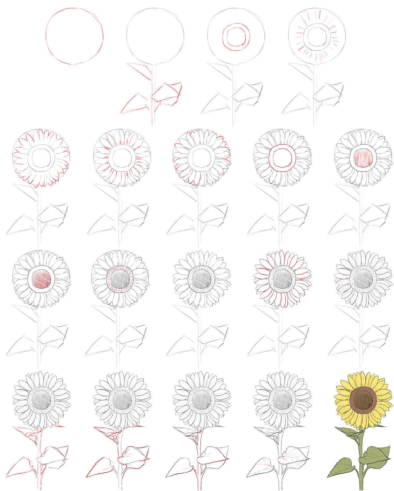 Dibujos de Un girasol - Idea 10