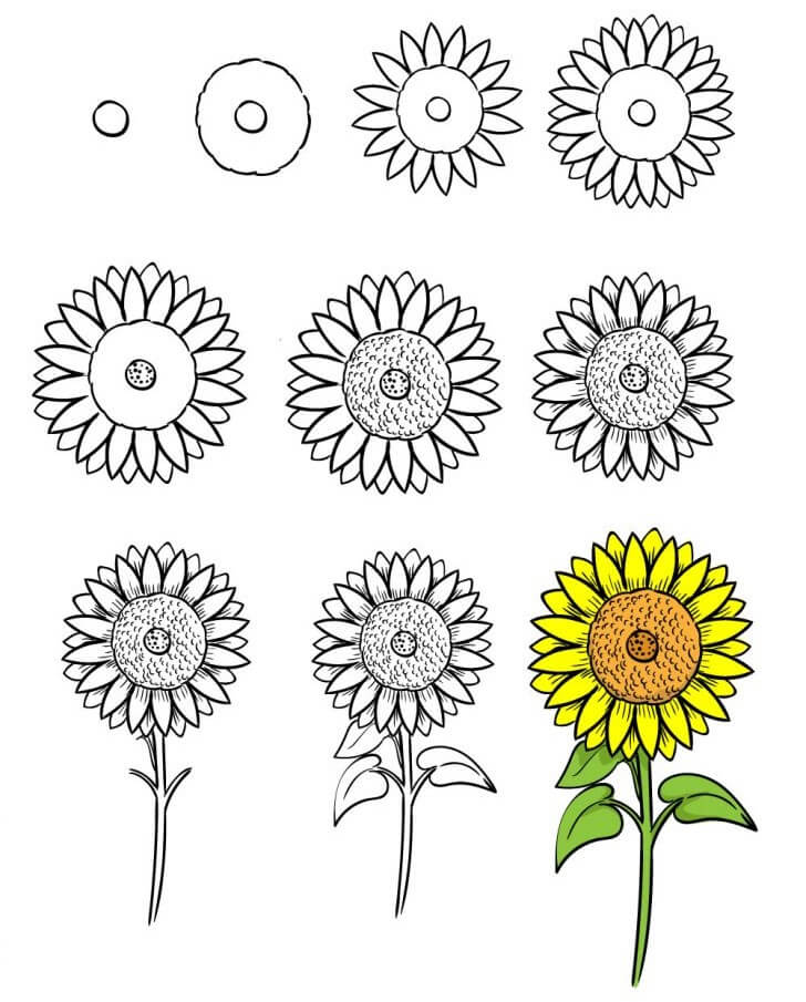 Dibujos de Un girasol - Idea 11