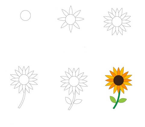 Dibujos de Un girasol - Idea 16