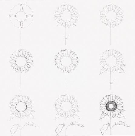 Dibujos de Un girasol - Idea 21