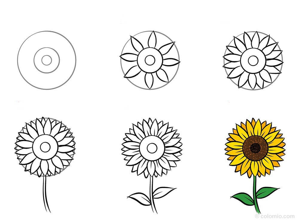 Dibujos de Un girasol - Idea 32