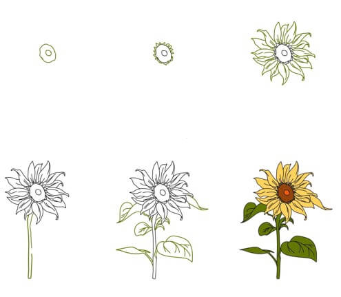 Dibujos de Un girasol realista - Idea 26