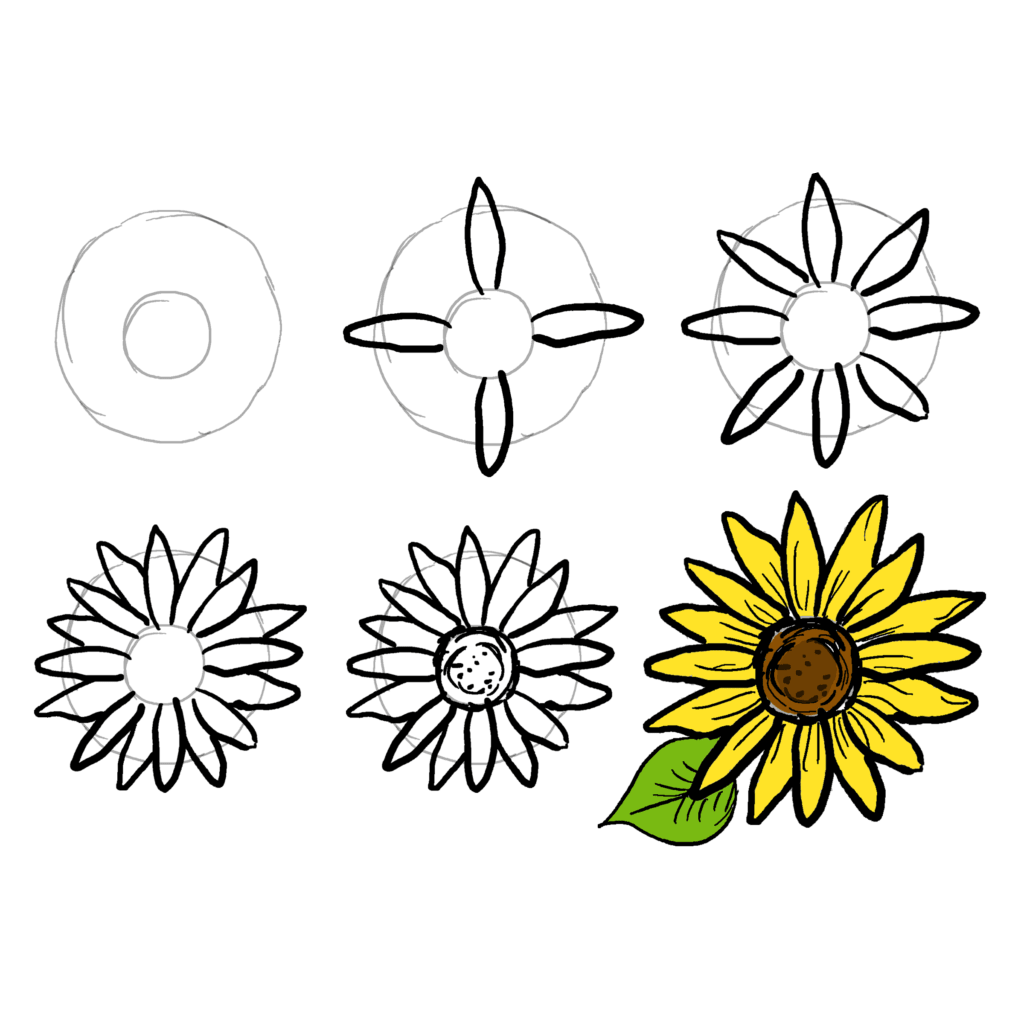 Dibujos de Un girasol simple