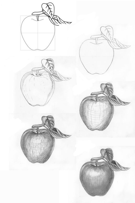 Dibujos de Una manzana a lápiz - Idea 9