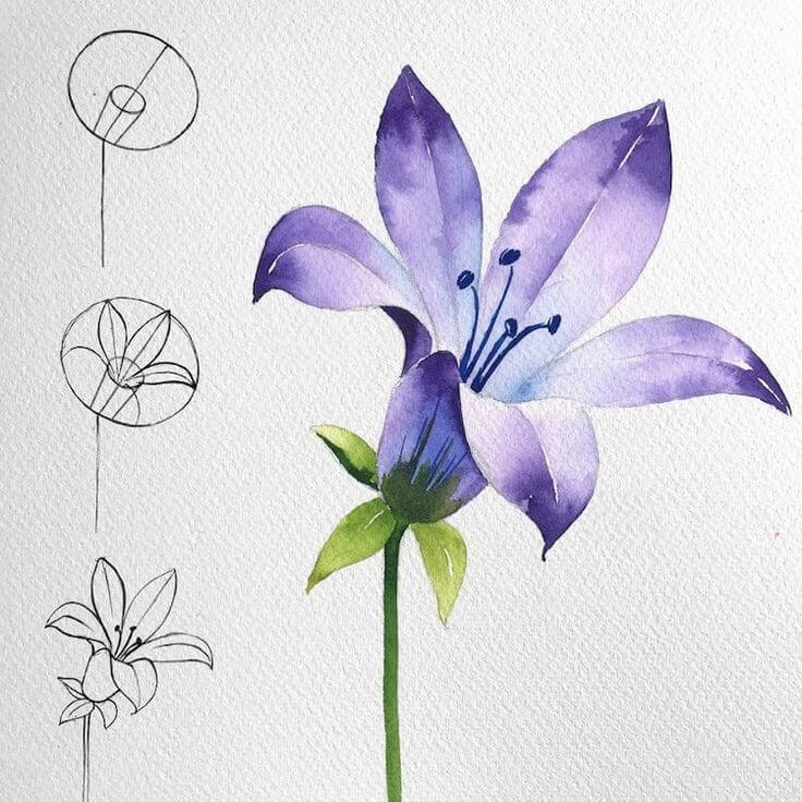 Dibujos de Flor violeta