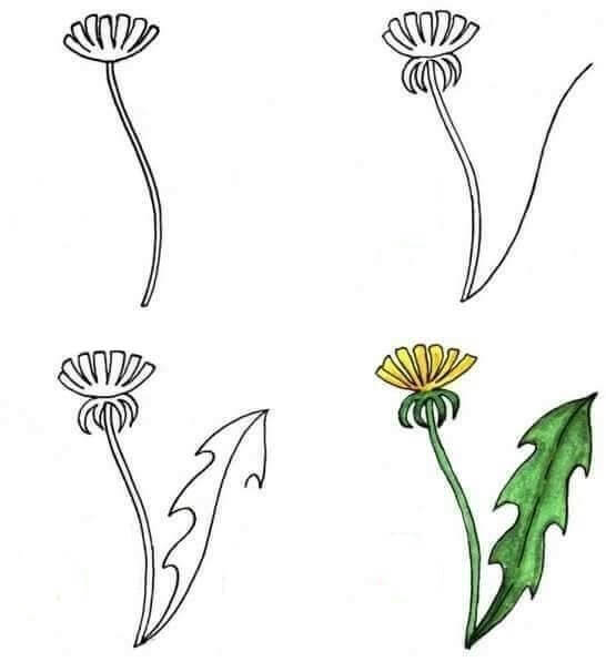 Dibujos de Flores - Idea 11