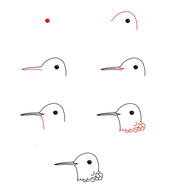 Dibujos de La cara de un colibrí