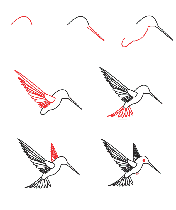 Dibujos de Un colibrí a lápiz