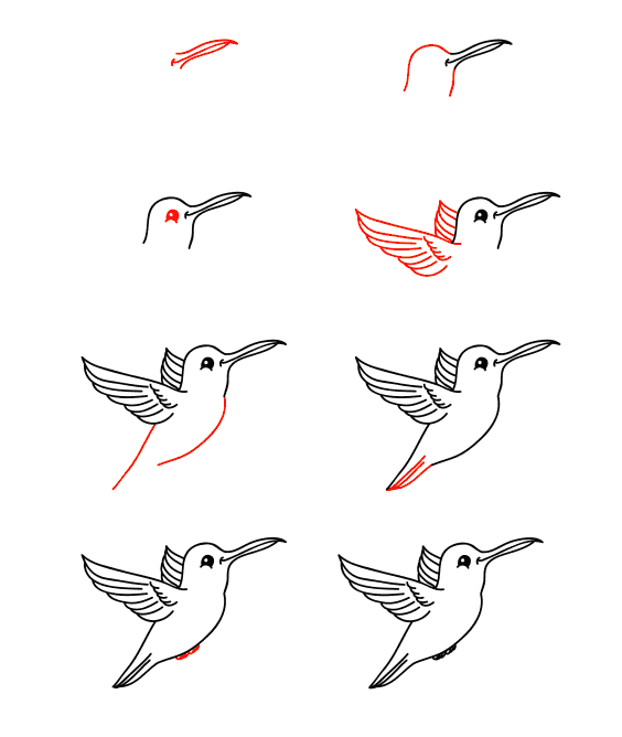 Dibujos de Un colibrí animado