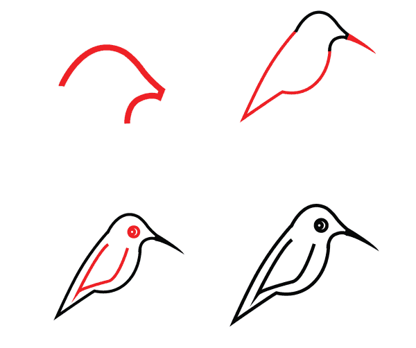 Dibujos de Un colibrí fácil